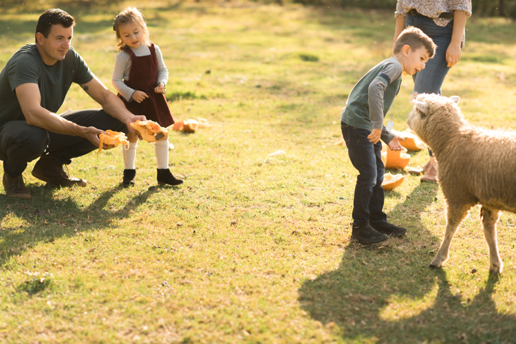 Fall is in full swing here in NJ, my first Fall Family session with Anna and Adam at their Farm House in Hackettstown NJ. Anna and Adam recently purchased their dream farm house on a 4 acres of land. This family of four now has chickens, ducks, birds, cats, a dog, sheep and plans to add many more to the list in the future. I had the honor of visiting Anna and Adam and their two beautiful children at their Farm the other day. I got much need vitamin D walking around the property, enjoying the foliage, running around with their kids and meeting all the farm animals. I sincerely enjoy photographing families now because there are no dull moments with kids, every moment is perfect! Fall family session at Anna and Adam’s Farm at Hackettstown NJ photographed by Karis from HeyKaris.